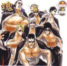Pin on Gotei 13