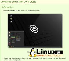 如何在Windows 10下安装Linux Mint 20.1双启动- Linux迷
