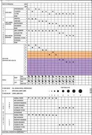 Above The New Neurological Observation Chart That Was