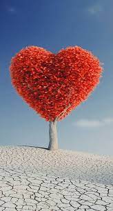 Love Is In The Air Cool Pictures For Wallpaper Heart Background Live Wallpapers