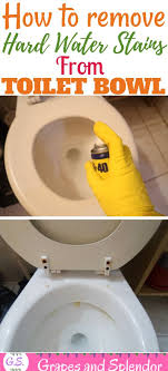 How To Get Rid Of Hard Water Stains From Your Toilet Bowl Hard Water Stain Remover Toilet Hard Water Stains Hard Water