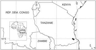 Image result for Leptactina involucrata