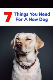 We did not find results for: 7 Things You Need To Buy Before Getting A Dog Shopping Kim Dog Training Obedience Dog Obedience Training Your Dog