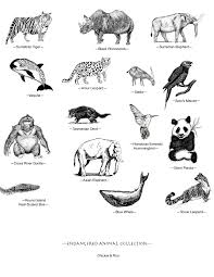 Affiche 1 de extinct sur 7 affiches disponibles sur allociné. Endangered Animals Collection Poster Chickie Roo Homeschool