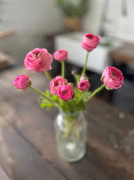 Image result for Ranunculus  cooleyae
