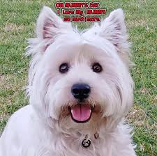 Mum and dad Darcy and Brooke this morning.