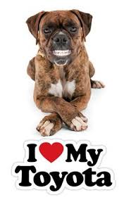 Pin By Cmh Toyota Melrose On Toyota Love Toyota Trucks Toyota 4x4