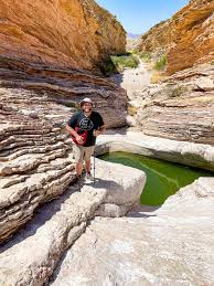 2 rough dirt roads 2 super easy trails 2 fun spots for photography Love the  variety in Big Bend!