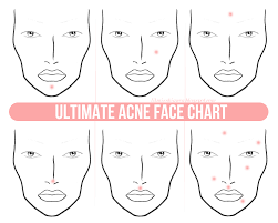 Which Organs Are Causing Your Acne Face Mapping