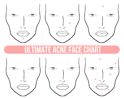 which organs are causing your acne face mapping