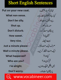 Basic English Sentences In Hindi And Urdu Translation Pdf Learn English Words Basic English Sentences English Phrases Sentences