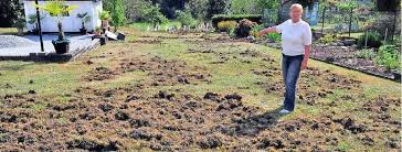 Vermehrt halten sie sich auch in den randbereichen von städten auf. Wildschweine Graben Garten Um