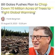 Shelly Pollock (@shellycat1221) • Instagram photos and videos