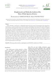In a food processor, pulse strawberries, basil and sugar. Characteristics Of The Two Post Fire Chronosequences Of Pinus Download Table