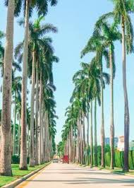 Pin de Tammy LaClare en Florida Stuff en 2024