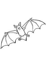 Fledermaus Malen Google Suche Fledermaus Malen