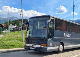 Profile for Przewozy Autokarowe Daniel Bigus