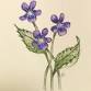 Intro to Watercolor: Painting Native Flowers
