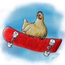 Über 500 marken, über 30 jahre erfahrung. Creative Indecision A Chicken Riding A Skateboard Because Well You