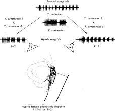 Camel open sound sweepstakes promotion enter the camel open sound instant win and sweepstakes online no purchase is required and provide an email address and enter the promotion. Mechanocommunication Springerlink
