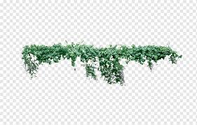 Green Vine Plant Vine Plant Liana Tree Creeper Leaf Text Rectangle Png Pngwing Jan 23rd, 2021 filed under: green vine plant vine plant liana tree