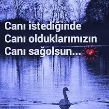 Begendiginiz Pinler Icin Yorum Veya Takipte Bulunarak Destek Olmayi Unutmayiniz Ilginize Tesekkurler 2020 Ozlu Sozler Alayci Sozler Ilham Verici Alintilar