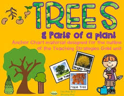 Teaching Strategies Gold Trees Anchor Chart