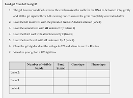 Solved Help Filling In Chart Objective Was To Identify Ph