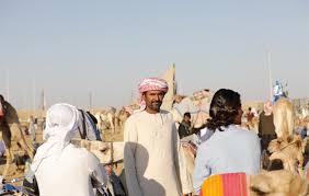 The abu dhabi grand prix takes place on sunday november 26, 2017 at yas marina circuit, abu dhabi. 2021 Guide To Camel Race Abu Dhabi Arabiers