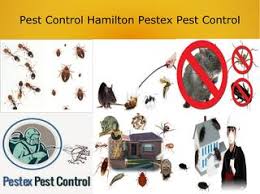 Professional pest control is closed for all non essential pest problems. Pestex Issuu