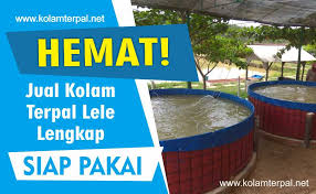 Hemat Jual Kolam Terpal Lele Lengkap Siap Pakai Jakarta
