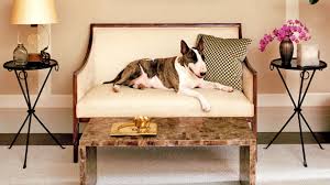 Find dog coffee table in canada | visit kijiji classifieds to buy, sell, or trade almost anything! Marc Jacobs S Dog Gets His Own Coffee Table Book Architectural Digest India