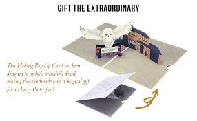 Harry Potter Verjaardagskaart Hedwig Pop Up Card Inclusief Zweinsteinse Envelop Notitiekaart Voor Je Bericht Officieel Gelicenseerd Door Cardology Amazon Nl Kantoorproducten