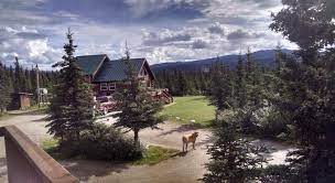 The entrance to denali national park is 11 miles from the spruce alaskan cabins. Alaskan Spruce Cabins Free Cancellation 2021 Healy Ak Deals Hd Photos Reviews