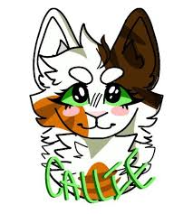 (double click for a cat's page) the list faq for mobile. Featured Warriors Cats Art Amino Amino