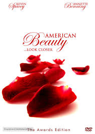 Minimalist poster #24 in this poster i designed for this academy award winning film, i decided to focus on the iconic flying plastic . Revisiting Films With Krk American Beauty 1999