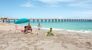 The palm beach letter is our flagship investment advisory. Palm Beach Florida Explorando Do Oceano Aos Everglades