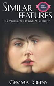 Similar Features: An absolutely gripping les-fic thriller