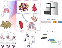 1,032 likes · 1 talking about this. Cancer Systems Immunology Elife