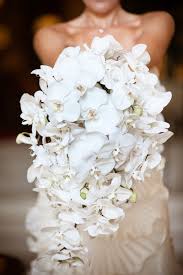 Cascading White Phalaenopsis Orchids Photography By Robert Isacson Orchid Bouquet Wedding Flower Bouquet Wedding Orchid Wedding