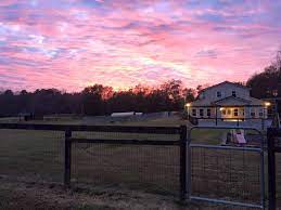 Ask a question about working or interviewing at four paws pet resort. Four Paws Pet Resort Home Facebook