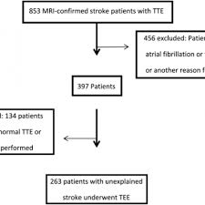 Stroke is described as a common disease, which is as well referred to as cva (cerebrovascular accident). Tee Impact On Managing Stroke Patients Journal Of Hospital Medicine