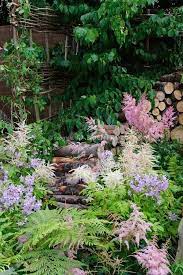 Pin On Garden
