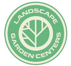 Image result for Astrantia majon `Abbey Road`