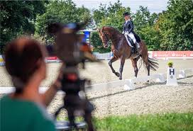 Starker Auftakt Bei Den Elmloher Dressurtagen