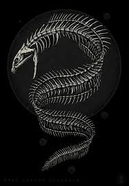 Moray Eel Skeleton On Behance In 2020 Skeleton Drawings Skeleton Tattoos Art
