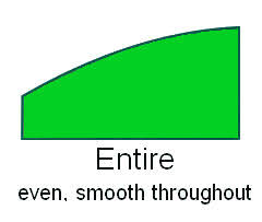 Image result for leaf margin entire