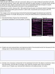 By clarifying how wall stresses are transmitted at the microscale and distributed within the wall, our study provides a physical framework for. Problem 3 7 Marks While All Plant Cells Make A Cell Chegg Com