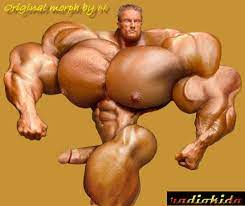 Male Bodybuilder Porn