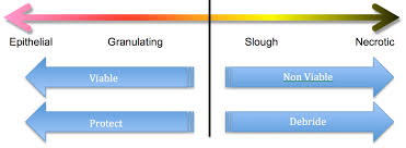 Wound Care Resource Wound Assessment Summary